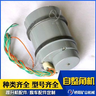 提升机伺服系统用 矿用S-5型自整角机微电机