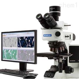 BX53M金相显微镜